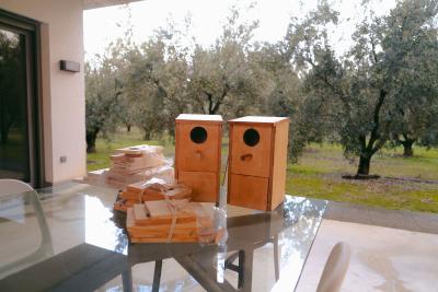 cajas nido